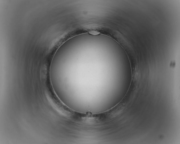 X0000112980448200909031113