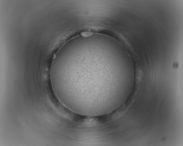 X0000112980451200909031113