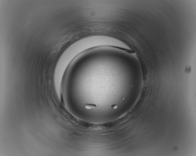 X0000112980452200909031113