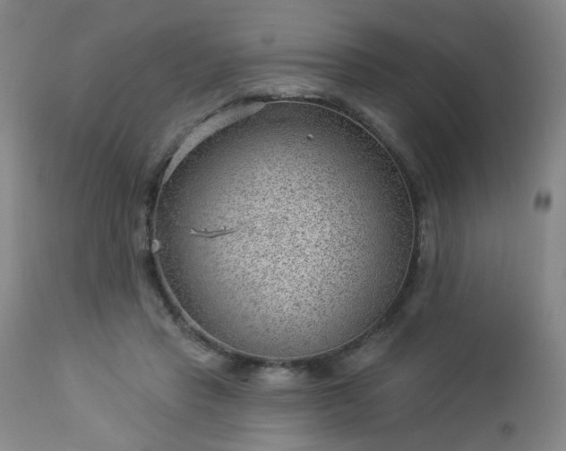 X0000112980453200909031113