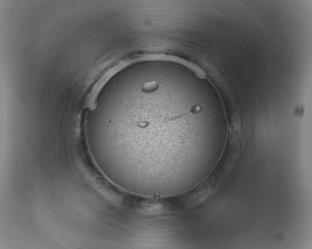 X0000112980454200909031113