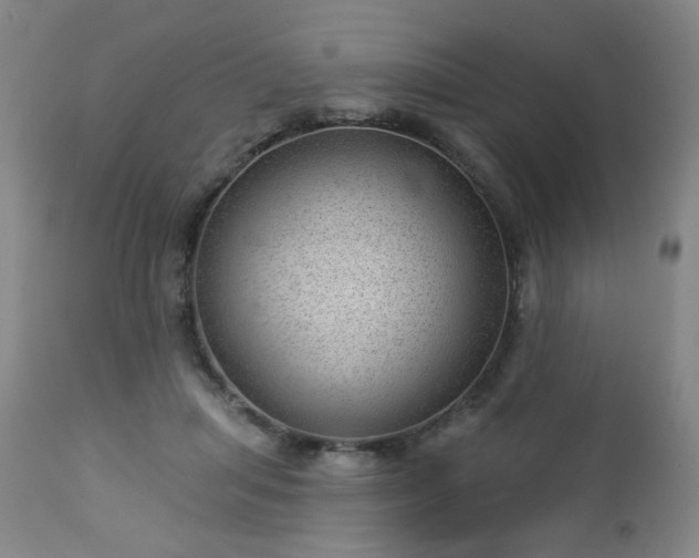 X0000112980455200909031113