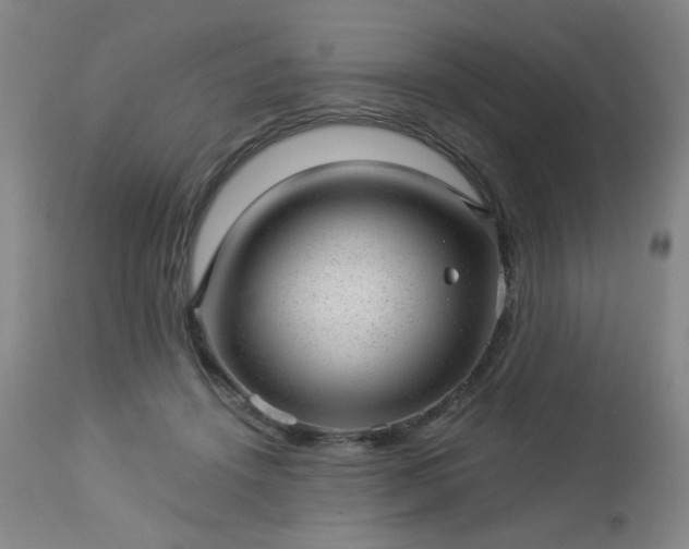 X0000112980456200909031113