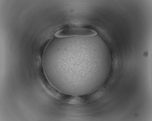 X0000112980459200909031113