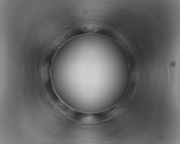 X0000112980460200909031113