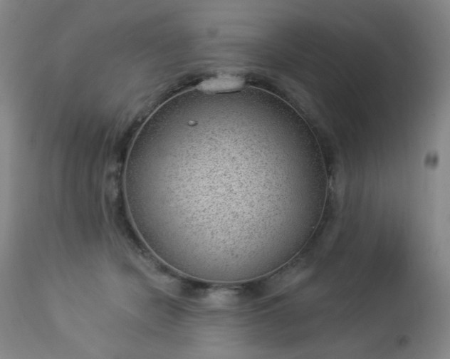 X0000112980462200909031113