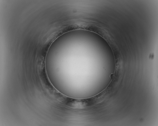 X0000112980464200909031113