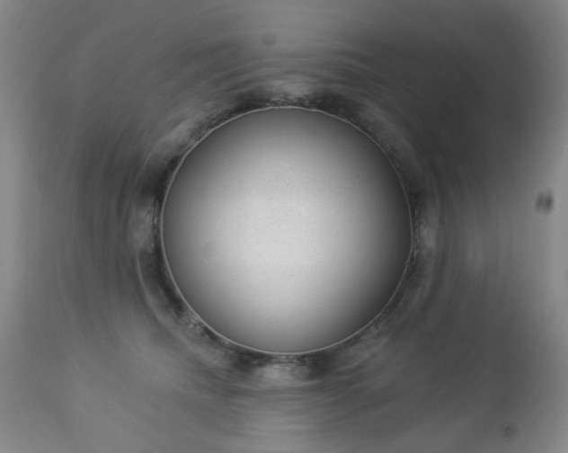 X0000112980468200909031113