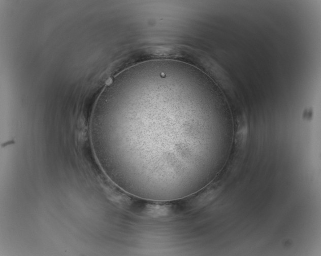 X0000112980469200909031113