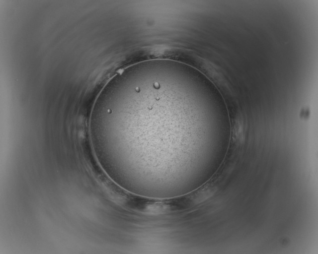 X0000112980470200909031113