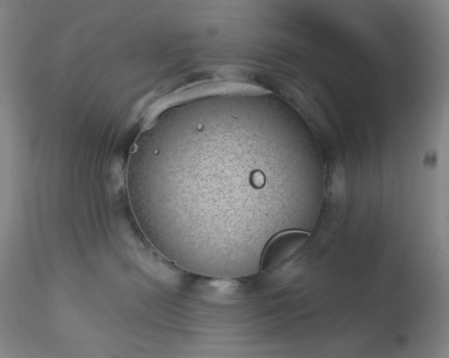 X0000112980478200909031113