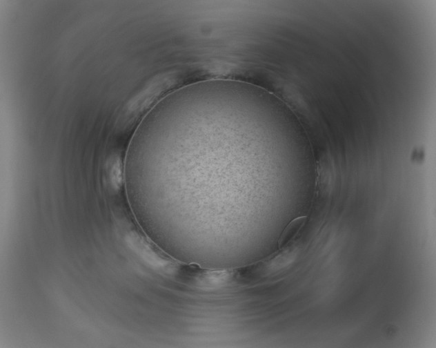 X0000112980479200909031113