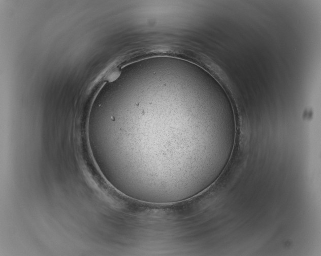 X0000112980482200909031112