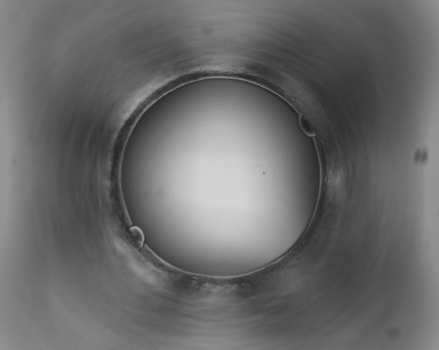 X0000112980484200909031112