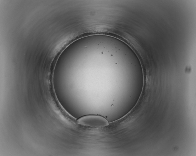 X0000112980485200909031112