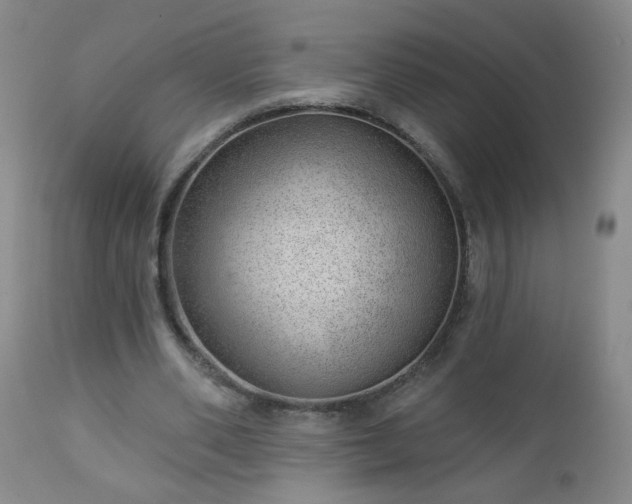 X0000112980486200909031112