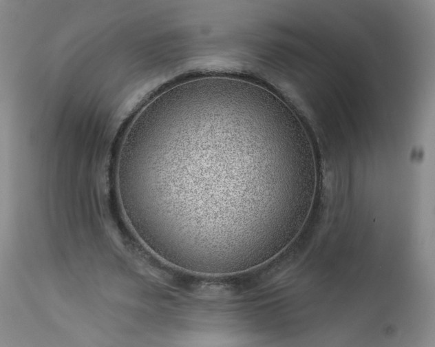 X0000112980487200909031112