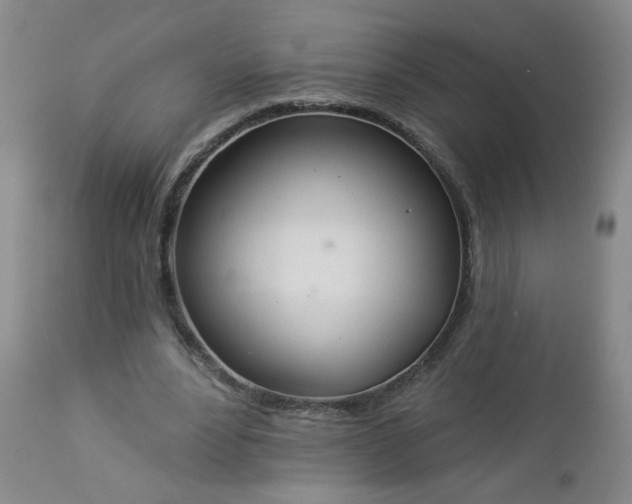 X0000112980488200909031112