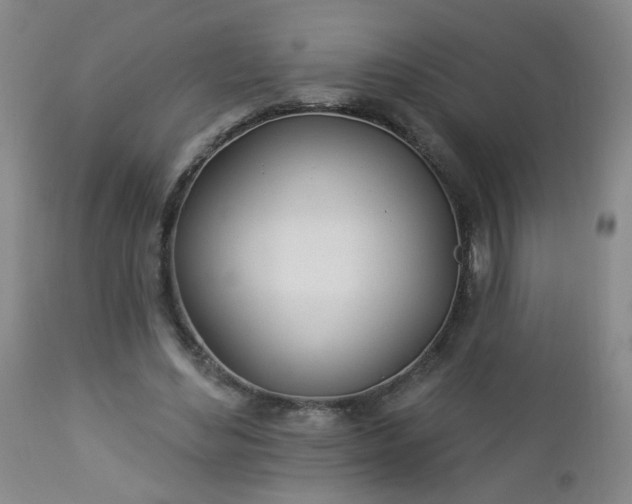 X0000112980492200909031112