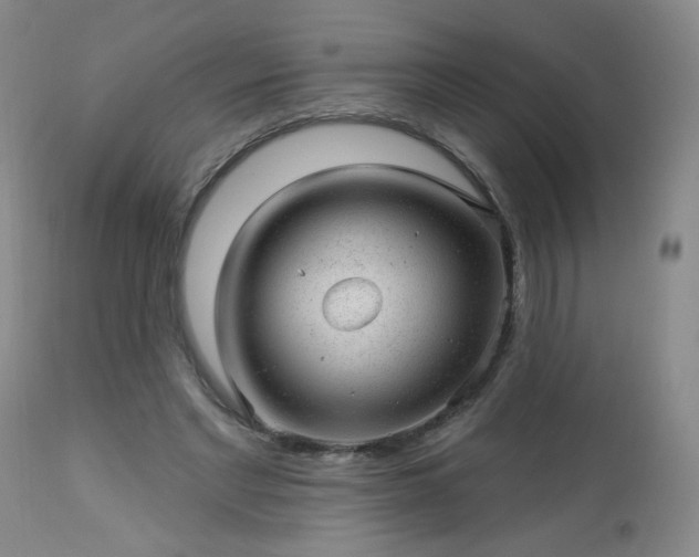 X0000112980493200909031112