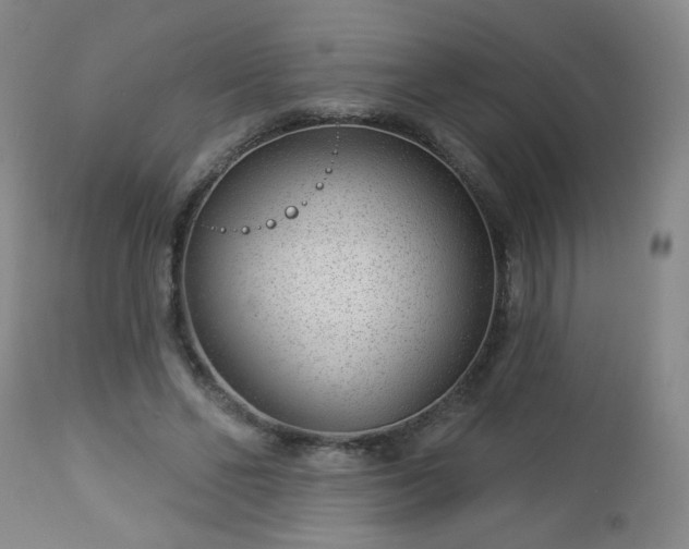 X0000112980494200909031112