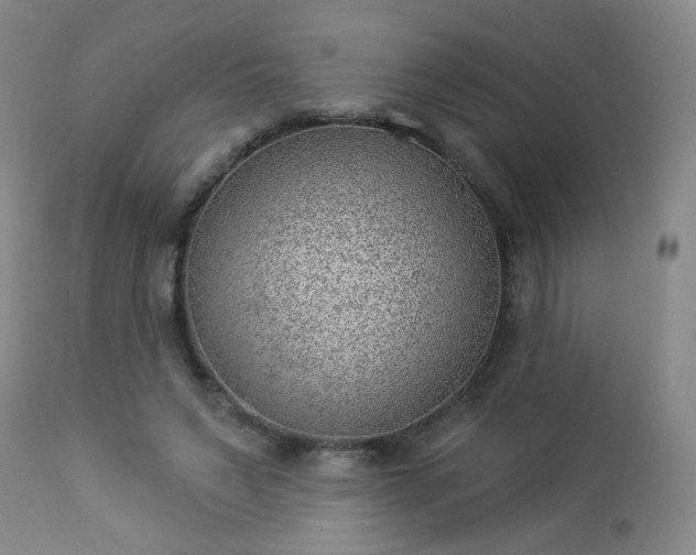 X0000112980495200909031112