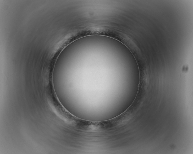 X0000112980496200909031112