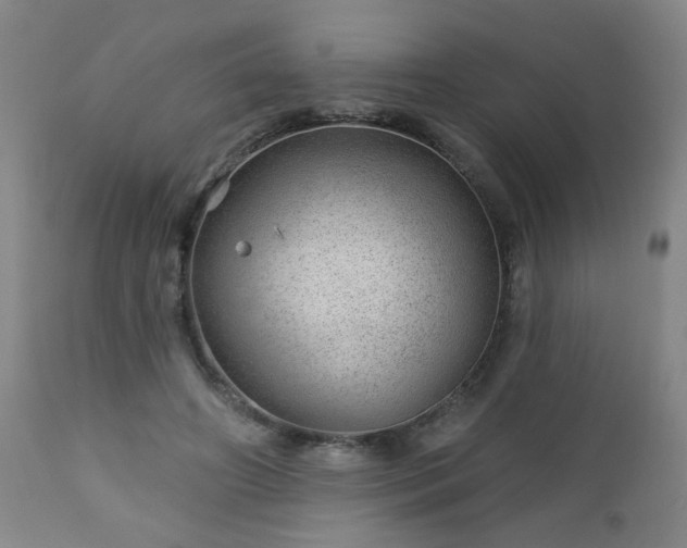 X0000112980498200909031112