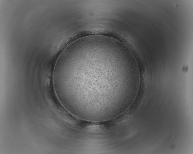 X0000112980499200909031112