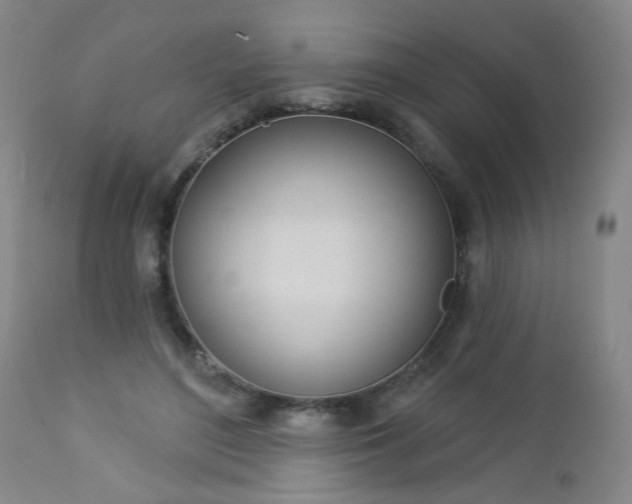 X0000112980500200909031112