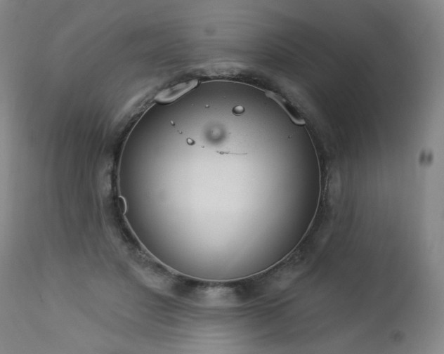 X0000112980501200909031112