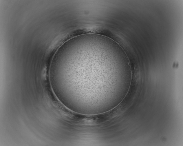 X0000112980502200909031112