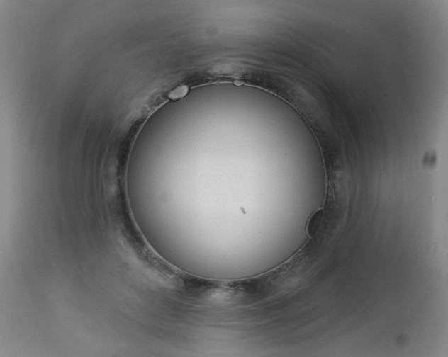 X0000112980504200909031112