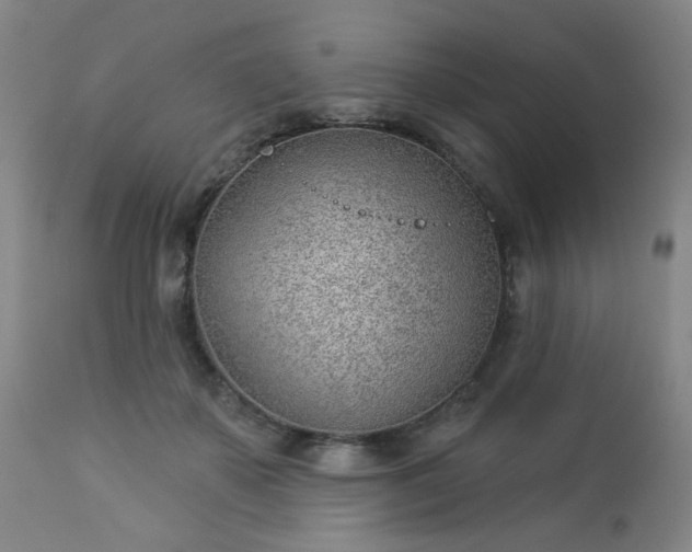 X0000112980507200909031112