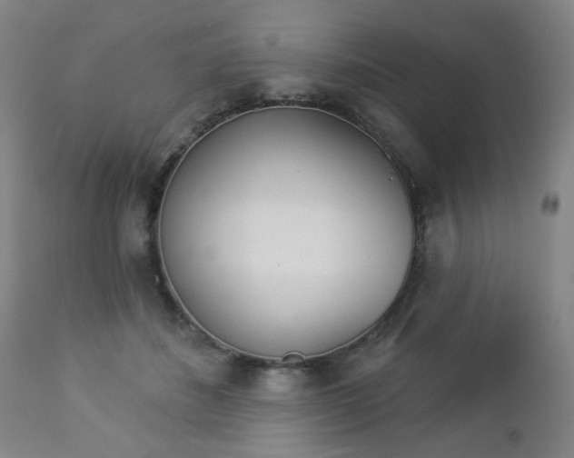 X0000112980508200909031112