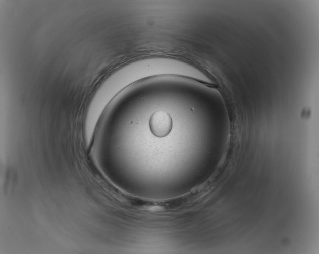 X0000112980509200909031112