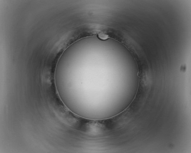 X0000112980512200909031112