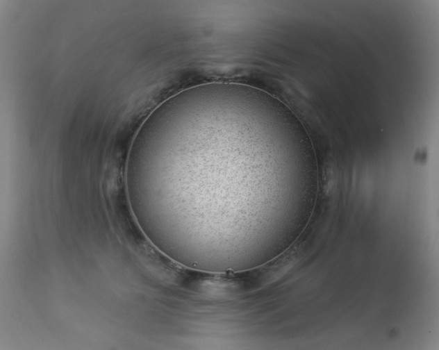 X0000112980515200909031112