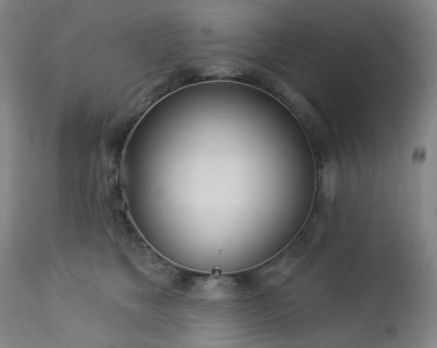 X0000112980517200909031112