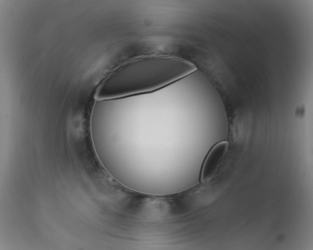 X0000112980520200909031112