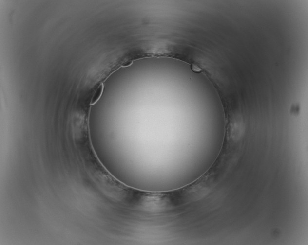 X0000112980521200909031112