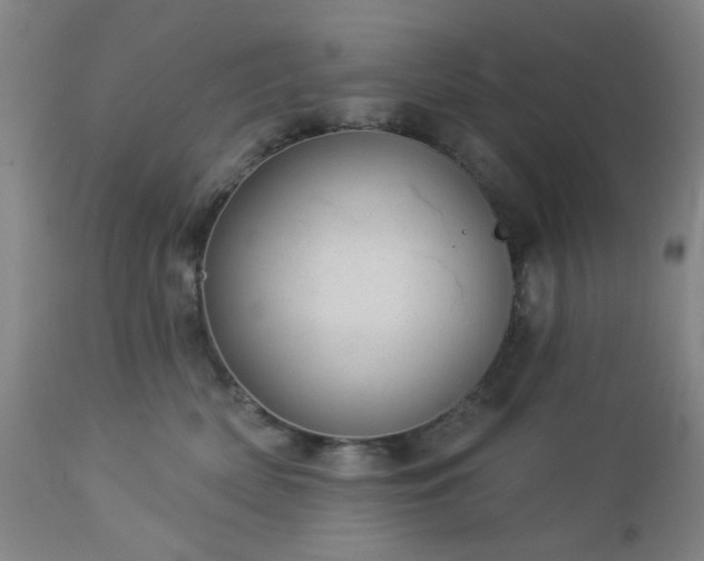 X0000112980522200909031112