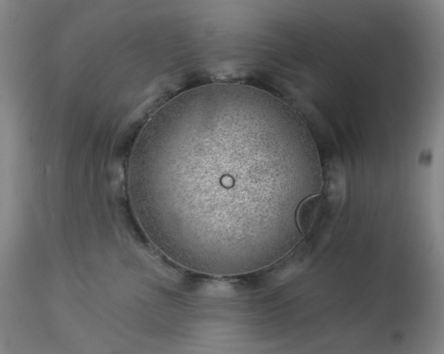 X0000112980523200909031112