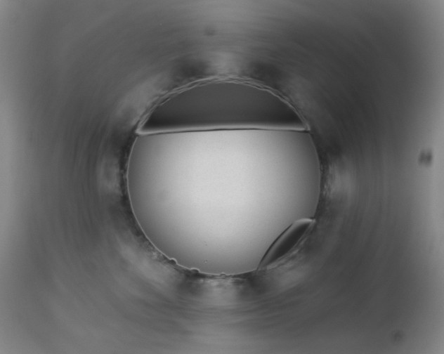 X0000112980524200909031112