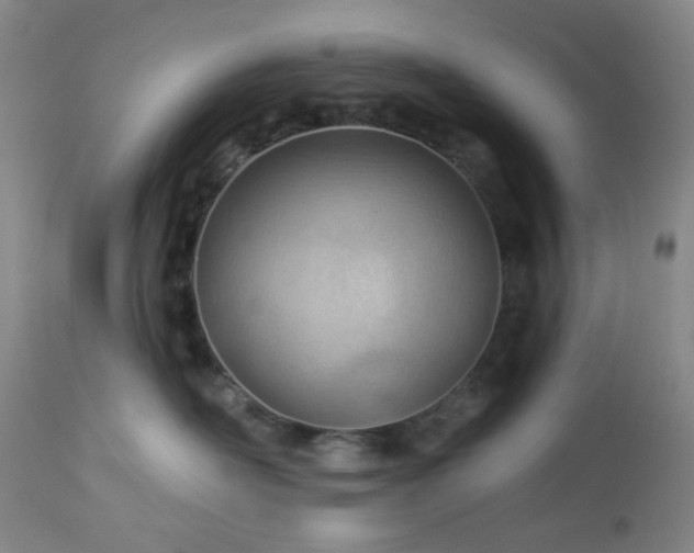 X0000112980526200909031112