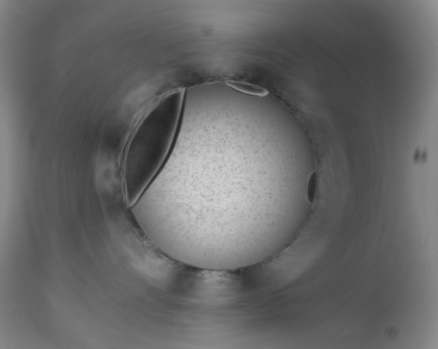 X0000112980528200909031112