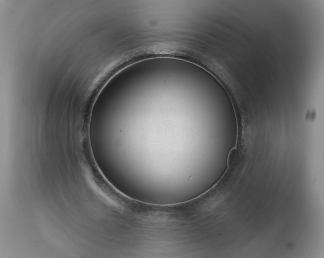 X0000112980530200909031111