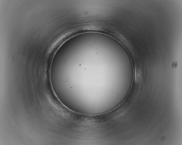 X0000112980531200909031111