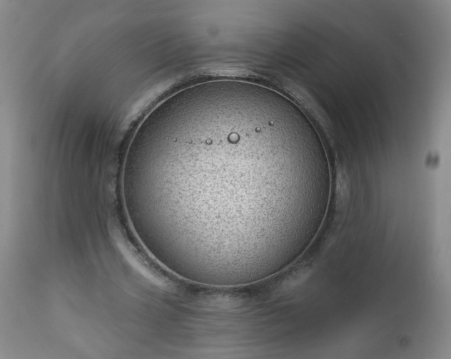 X0000112980533200909031111