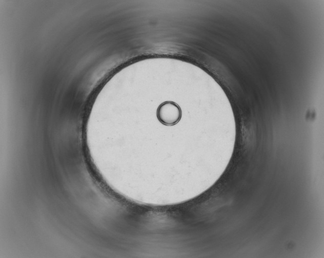 X0000112980534200909031111